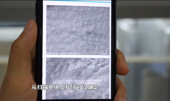 宝威体育下载网站：宝威体育官网：坏掉的牙齿有救啦！浙大科研团队用3D打印帮你修复大白牙(图5)