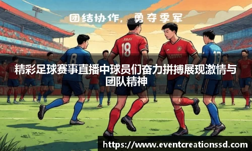 中欧体育在线