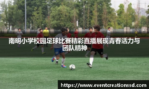 中欧体育官方网址
