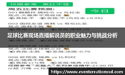 足球比赛现场直播解说员的职业魅力与挑战分析