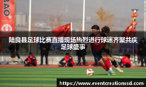中欧体育官方网址