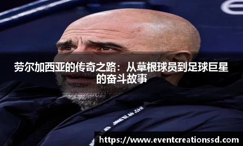 中欧体育网站