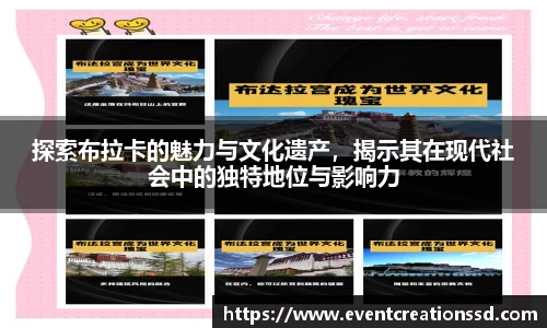 中欧体育在线