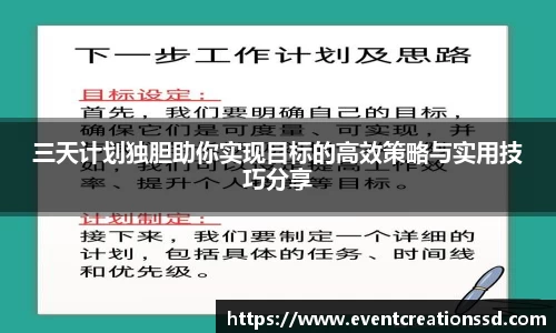 三天计划独胆助你实现目标的高效策略与实用技巧分享